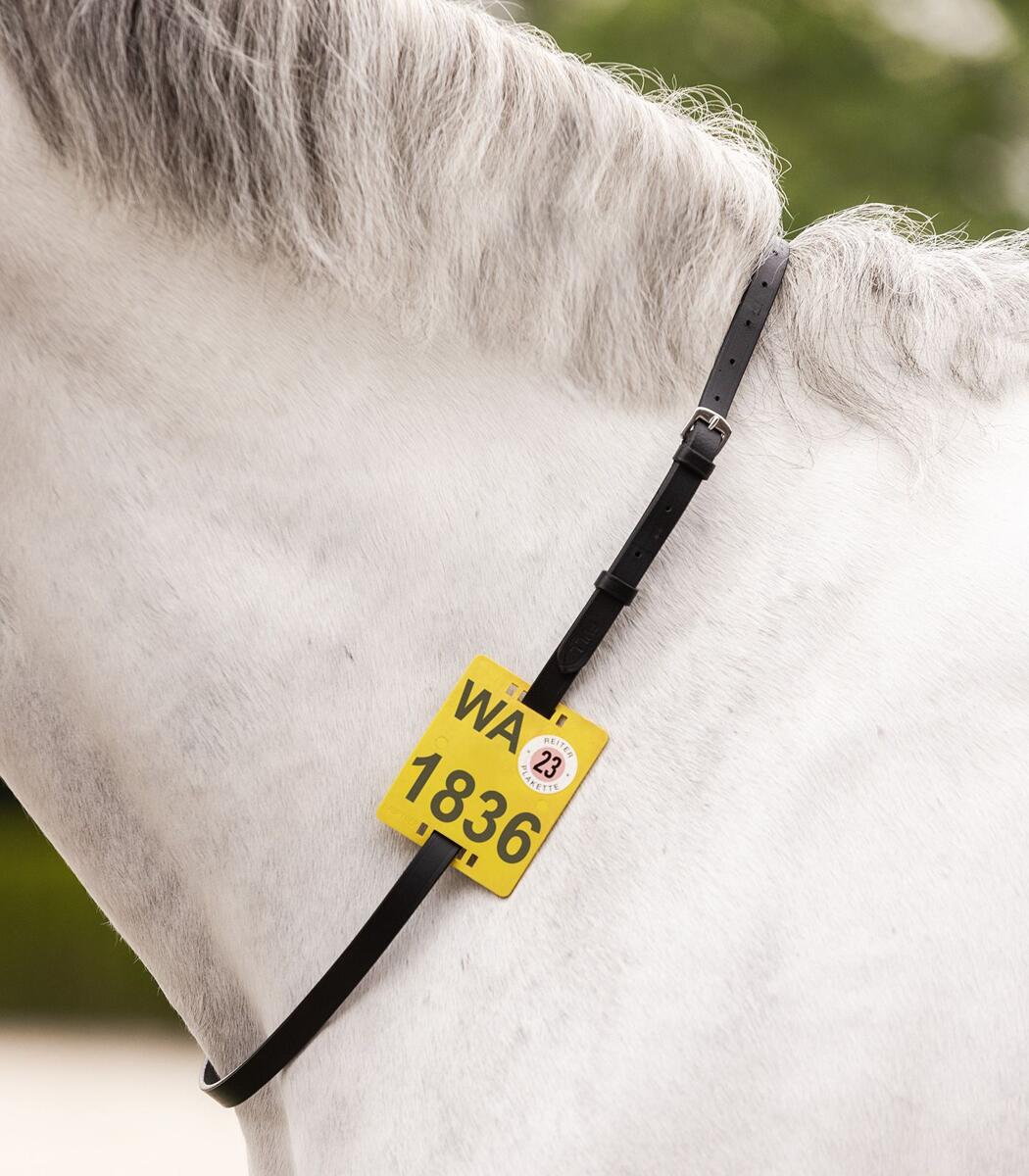 STAR Ausreitriemen für Reitplakette PetPoint Charly