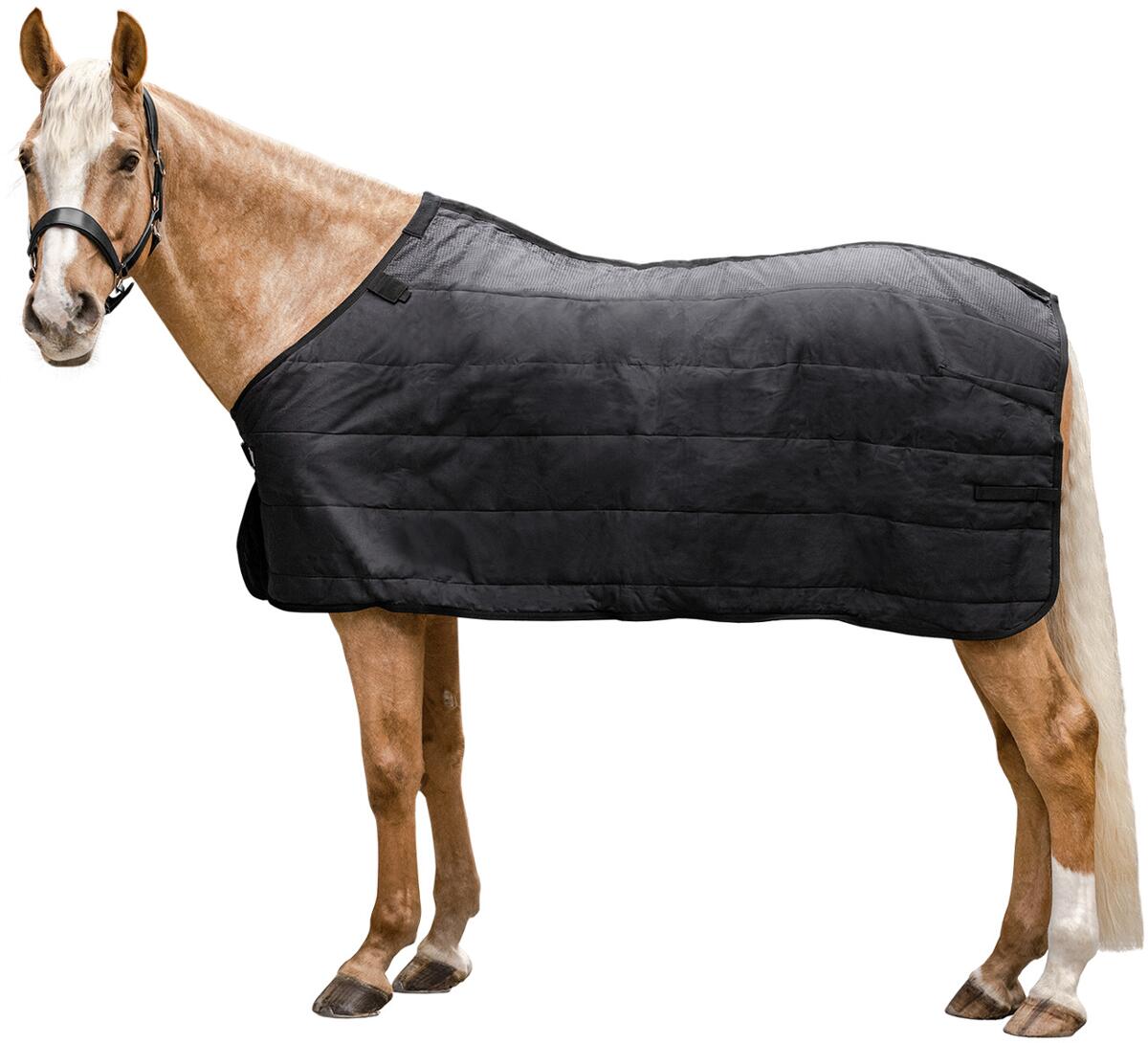 Waldhausen Thermo Unterdecke, 200g, schwarz, 145cm