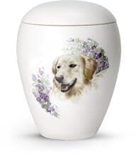 Urna per animali in ceramica Völsing, smaltata bianco opaco, con motivo Golden Retriever dipinto a mano, 2,8 L