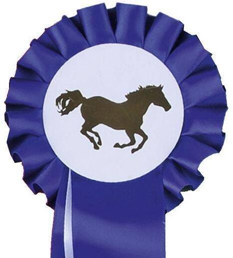 HKM Einfachrosette Turnierschleife, blau/weiß