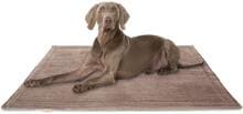 Knuffelwuff Timor Cord Hundedecke, 80x60cm, braun
