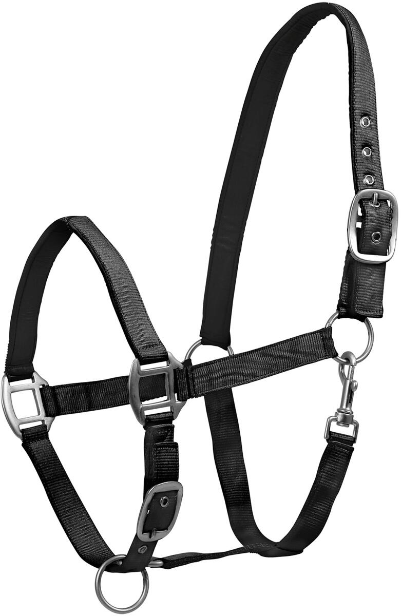 Waldhausen Satin Perlonhalfter, schwarz, Shetty