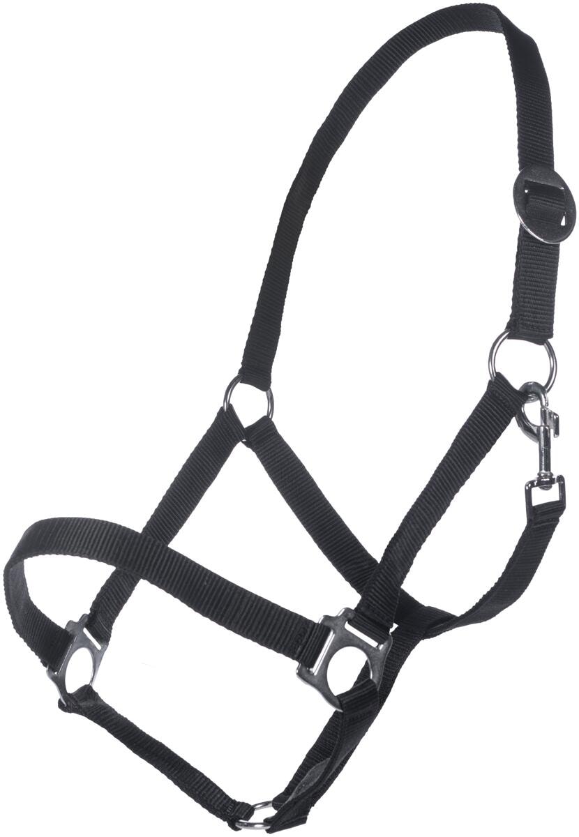 HKM Classic Halfter, schwarz, Pony