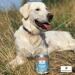Polvere di cellulosa Paws & Patch