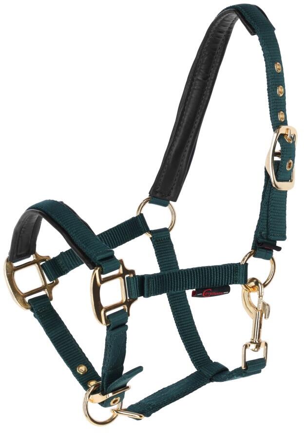 Covalliero TopLine Fohlenhalfter, forest