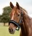 Halter elegante Waldhausen