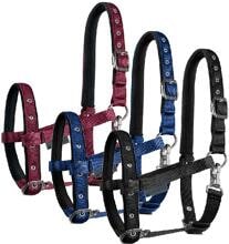 Cavezza per puledri Waldhausen Comfort