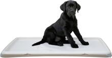 KERBL Pet XL Welpentoilette, 60x90cm