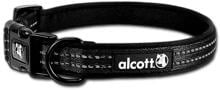 duncun Abenteuer Hundehalsband, schwarz, medium