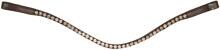 Waldhausen X-Line Glam Browband, marrone, pesca, WB