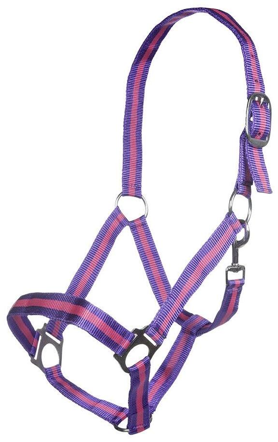 HKM Budapest Halfter, lila/pink, Vollblut