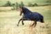 Covalliero RugBe SuperFly Fliegendecke inkl. Halsteil