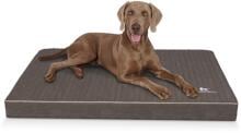 Knuffelwuff Palomino orthopädische Hundematte, 80x60cm, braungrau