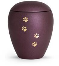 Urna per animali Völsing Verona Edition, quattro zampe spazzolate dorate, colore velvet berry, 2,8 L