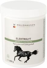 Waldhausen Elektrolyt Pulver, 1kg