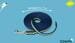 Coachi Training dog leash