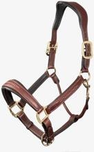 LeMieux leather halter, stitched, brown, Full