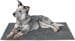 HUNTER Waterloo Schmutzfang-Hundematte
