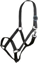 HKM Stars Economy Halter, nero, sangue caldo