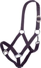 Cavezza HKM Stars Economy, viola scuro, purosangue