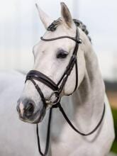 Briglia da dressage LeMieux Kudos, classica, marrone, X-Full