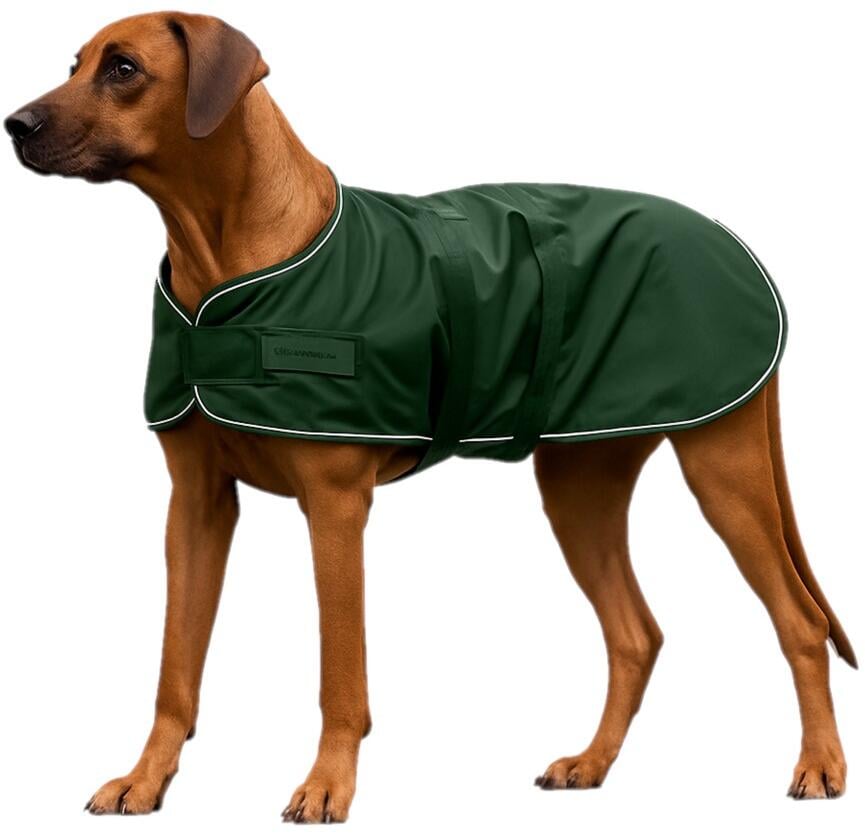 Waldhausen Hunde Regenmantel, tannengrün, 70cm