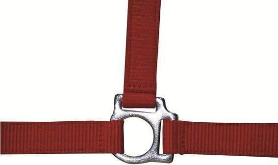 HKM Stars Economy Halfter, rot, Vollblut