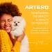 Artero Vital Hundeshampoo