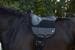 Covalliero AiRide Reitpad, schwarz, 50cm
