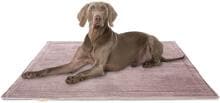 Knuffelwuff Timor Cord Hundedecke, 100x70cm, rosa
