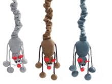 giocattoli per gatti beeztees BUNGEE SORTED 52