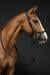 HKM Pro Anatomic Snaffle, black