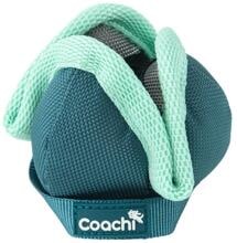 Coachi Puppy & Mini Chase & Treat dog toy
