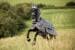 Covalliero RugBe Zebra Fliegendecke inkl. Halsteil