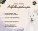 Pet Head Berry Bright Aufhellungsshampoo, 300ml