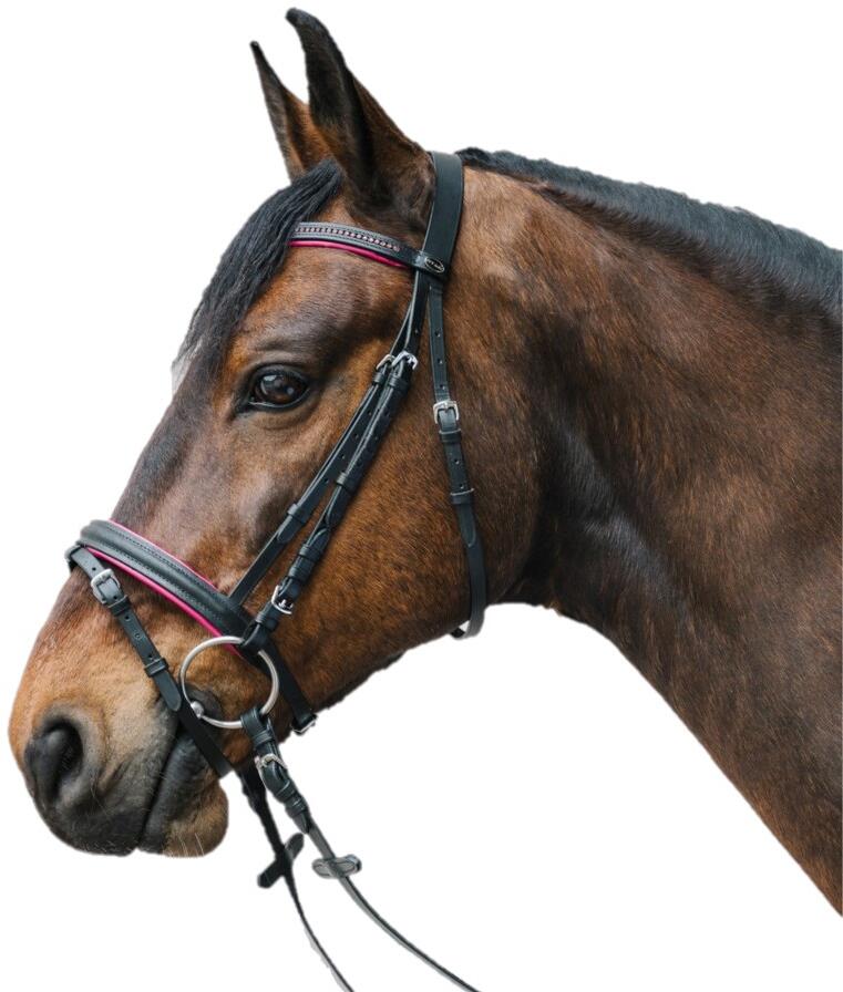 STAR Diamond Trensenzaum engl.komb., fuchsia, Shetty