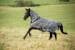 Covalliero RugBe Zebra Fliegendecke inkl. Halsteil