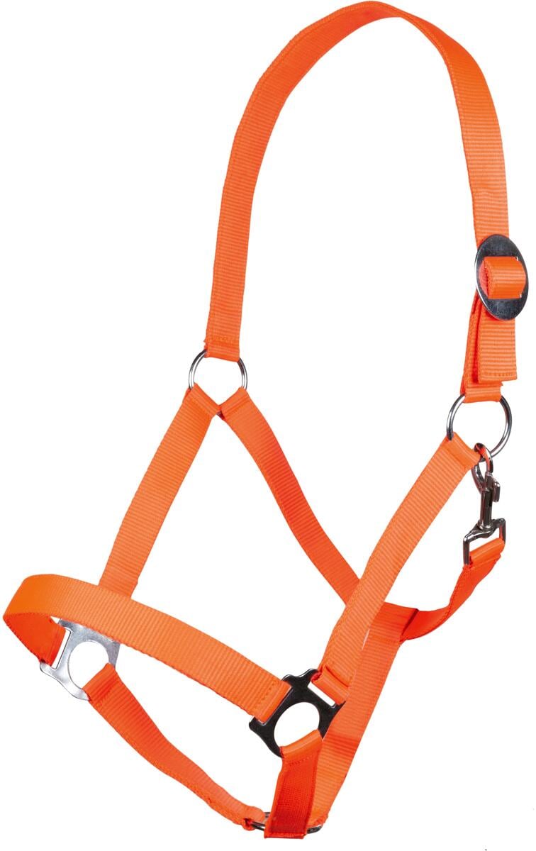 HKM Stars Economy Softice Halfter, neon orange, Pony