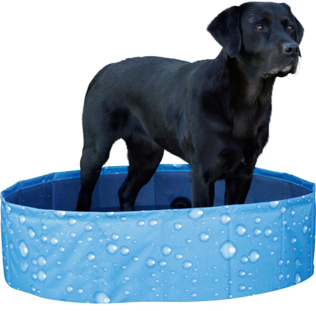KERBL Pet Bubble Hundepool, blau, 120x120x30cm