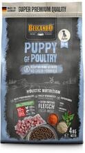 Belcando Puppy GF Poultry | Hundefutter