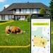Kippy DOG GPS-Tracker