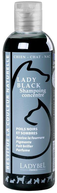 LadyBel Lady Black Hundeshampoo, 200ml