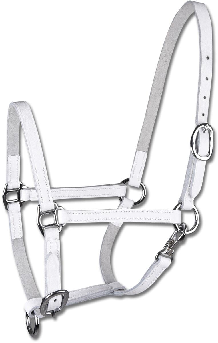 STAR Leder Fohlenvorführhalfter, weiß, Pony