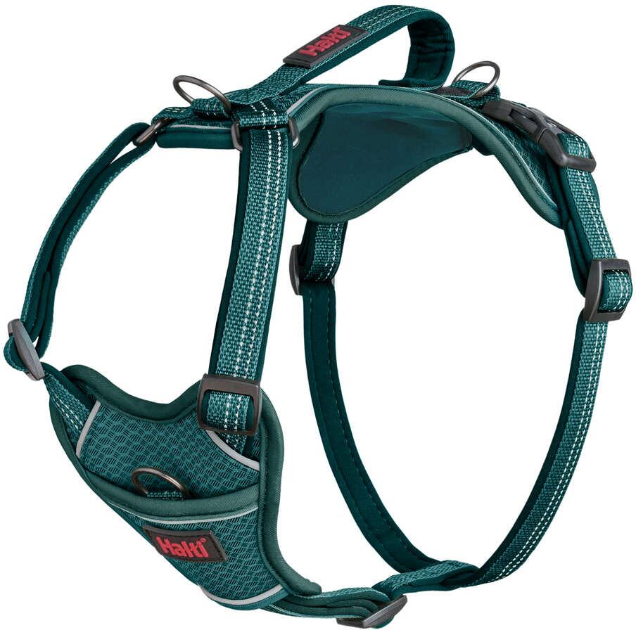 Halti Anatomy Hundegeschirr, teal, L