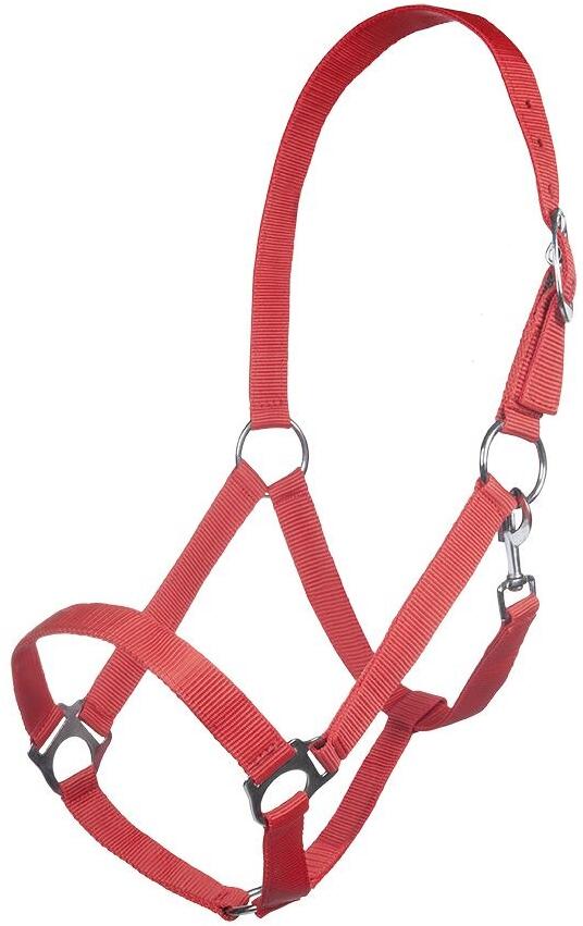 HKM Innsbruck Halfter, rot, Warmblut