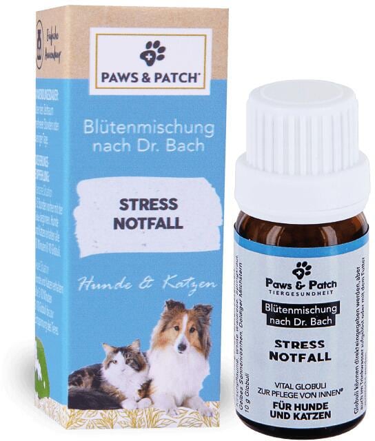 Paws & Patch Blütenmischung nach Dr. Bach, 10g, Stress Notfall