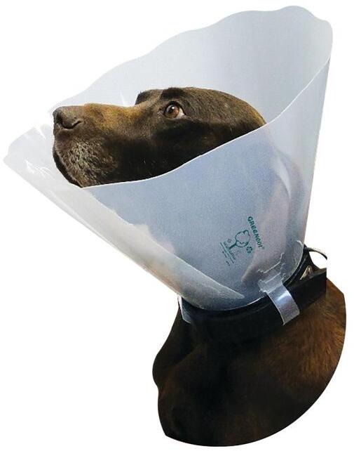 Genia GREENCOL Halskragen, 12 Stück, transparent, 25cm