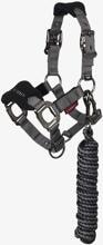LeMieux Mini Vogue Halter and Lead Rope, black, Mini