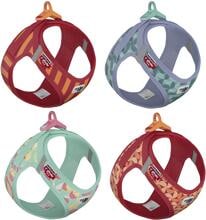 curli Clasp Limited Edition Air Mesh Hundegeschirr