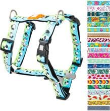 Max & Molly Dog Harness